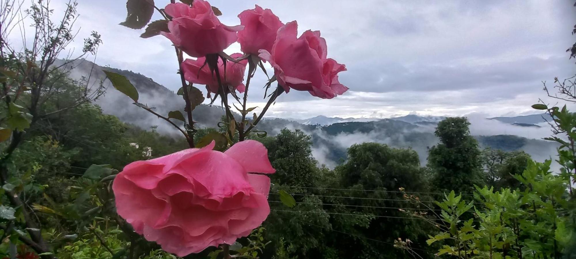 Sunrise Villa Shimla Eksteriør billede